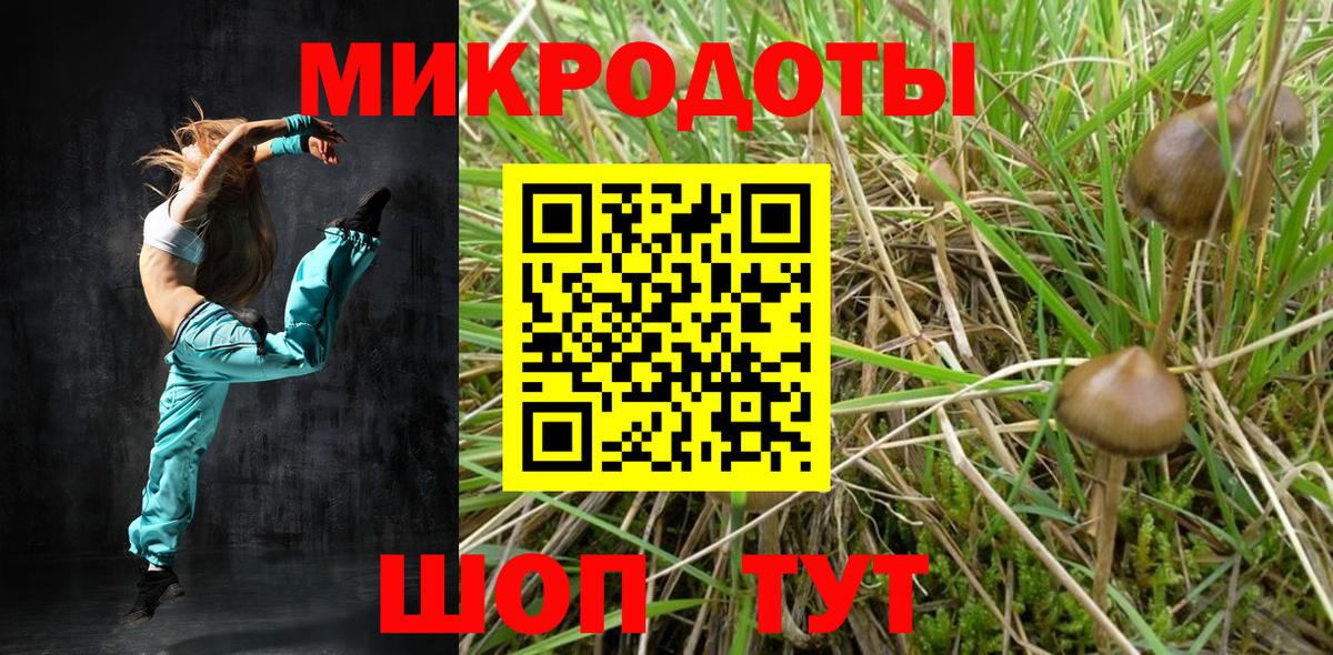 Псилоцибиновые грибы прущие грибы  Галлюциногенные грибы мухоморы  Волгодонск  Вход с VPN 